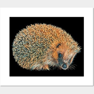 Hedgehog - Woodland Themed Kids Room, Funny Gifts For Forester, Cute Anima Posters and Art